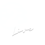 B2B Live Logo (4)